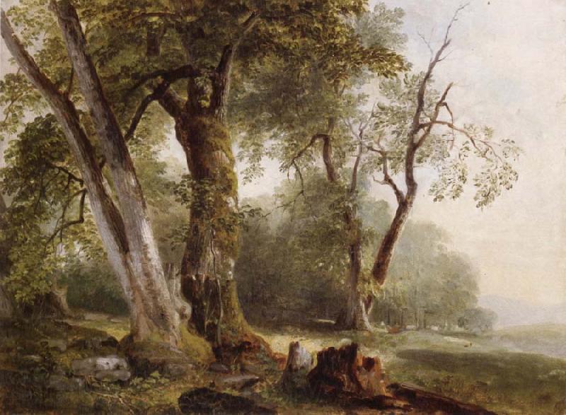 Asher Brown Durand Landscape with Beech Tree Spain oil painting art